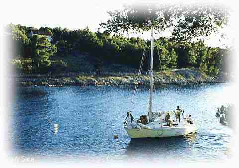 summer14web.jpg (80621 bytes)