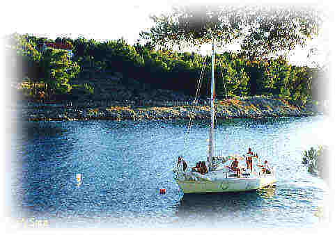 summer14web.jpg (80621 bytes)
